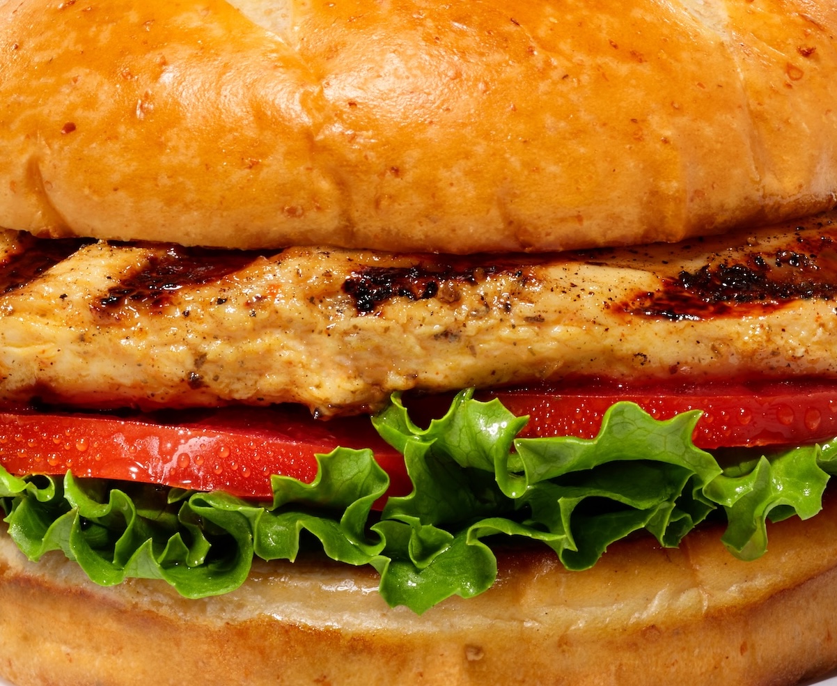 grilled sandwich